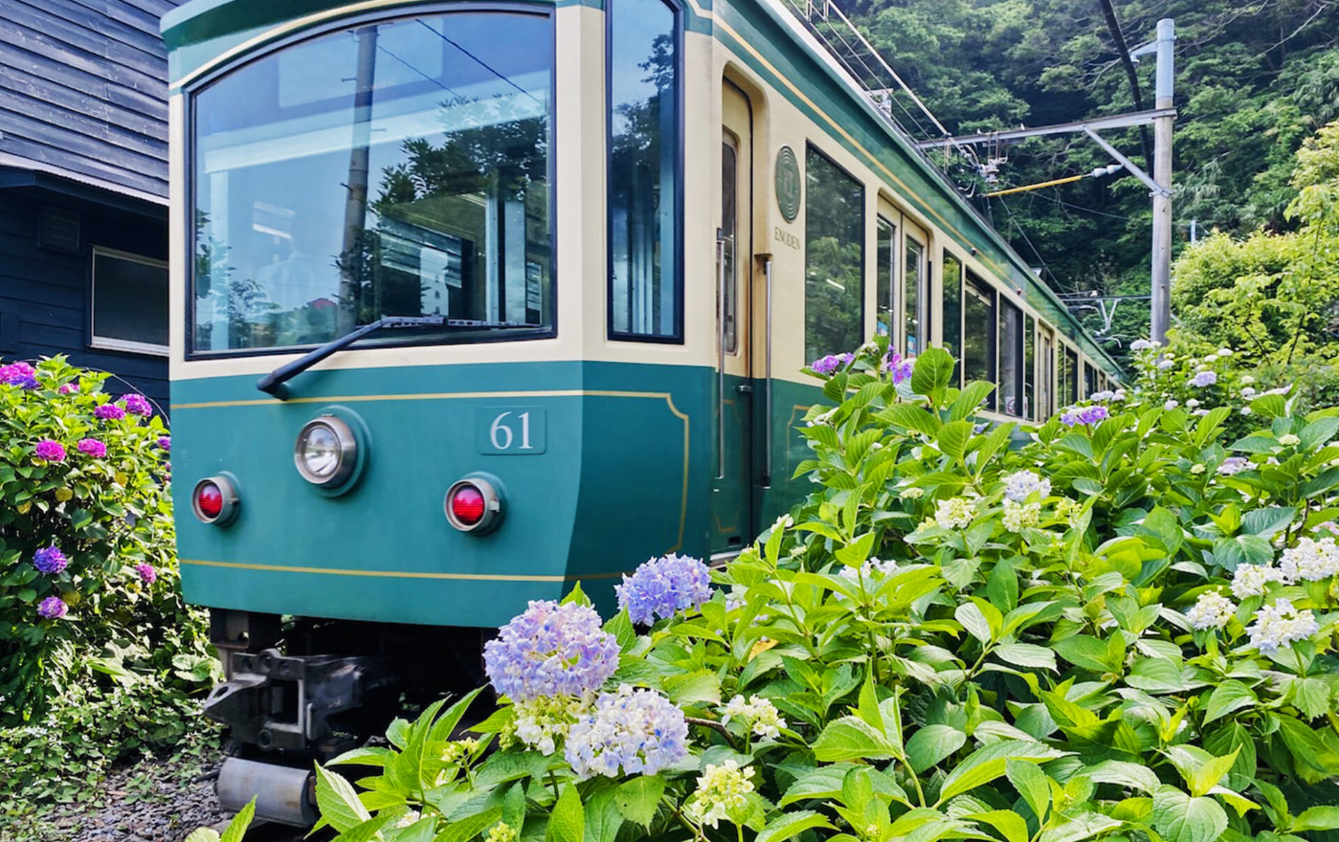 御霊神社」は鎌倉で江ノ電と紫陽花が両方楽しめる穴場スポット | 鎌倉