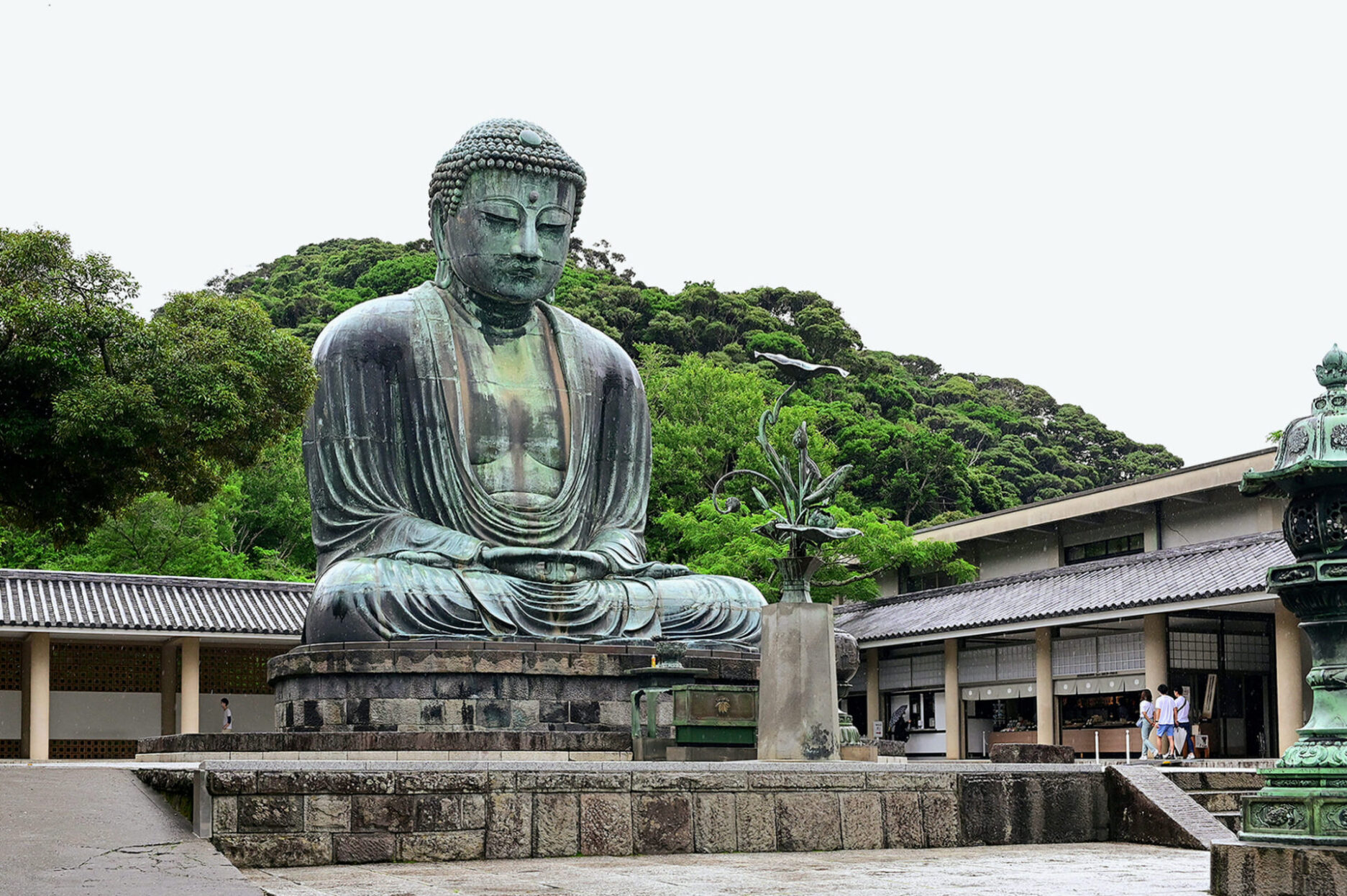 鎌倉観光の超定番「鎌倉大仏」と「高徳院」の見どころチェック | 鎌倉観光なら [ バズトリ -BUZZ TRIP Kamakura-]  観光・グルメ・自然