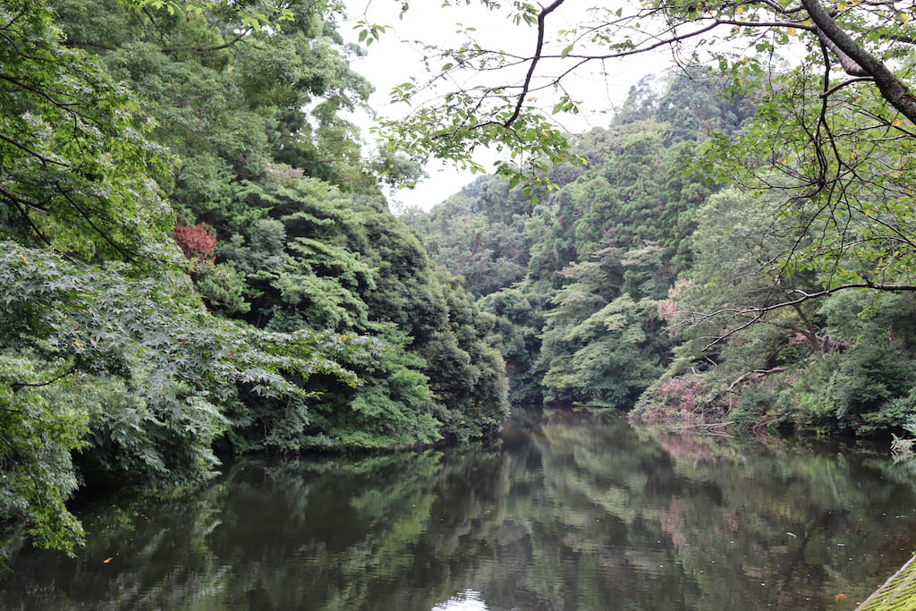 深い緑と水辺の景色を楽しむ 散在ガ池森林公園  鎌倉観光なら 